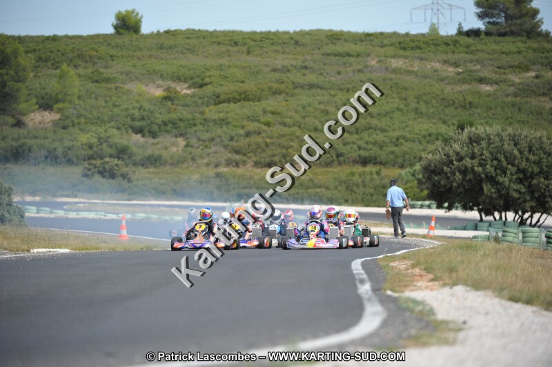 DSC (3583).JPG